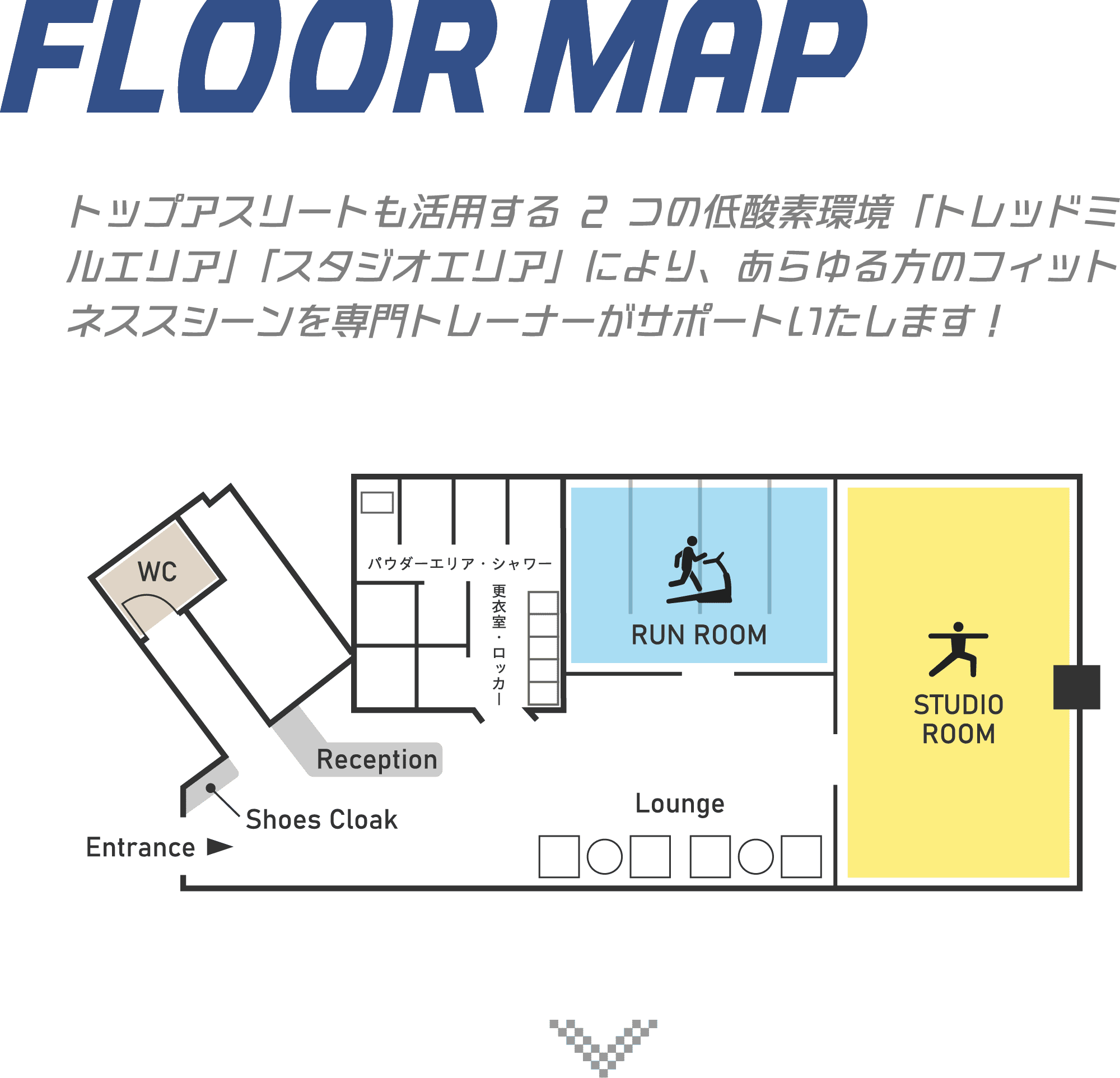 FLOOR MAP トップアスリートも活用する2つの低酸素環境「トレッドミルエリア」「スタジオエリア」により、あらゆる方のフィットネススシーンを専門トレーナーがサポートいたします! フロアマップ