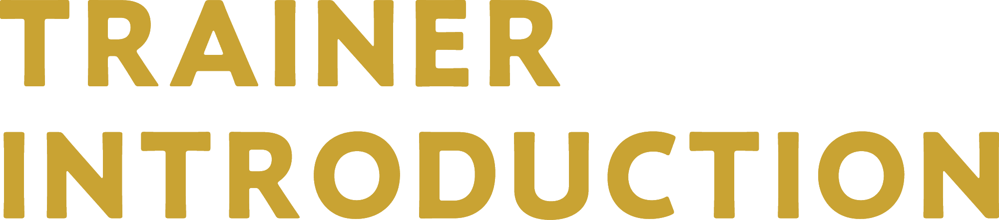 TRAINER INTRODUCTION